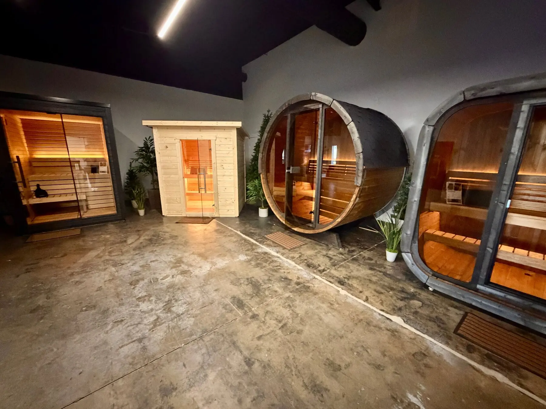 Four saunas lit from inside on a polished concrete showroom floor: a glass-front sauna with a black frame, a small light spruce sauna, a round glass-ended barrel sauna and a rounded dark-framed garden sauna, with potted plants between them