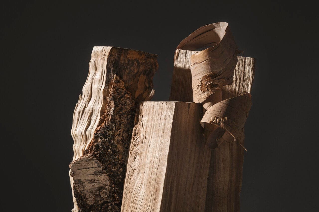 Harvia Launches New Fenix Full-Touch Controller and MyHarvia 2 App