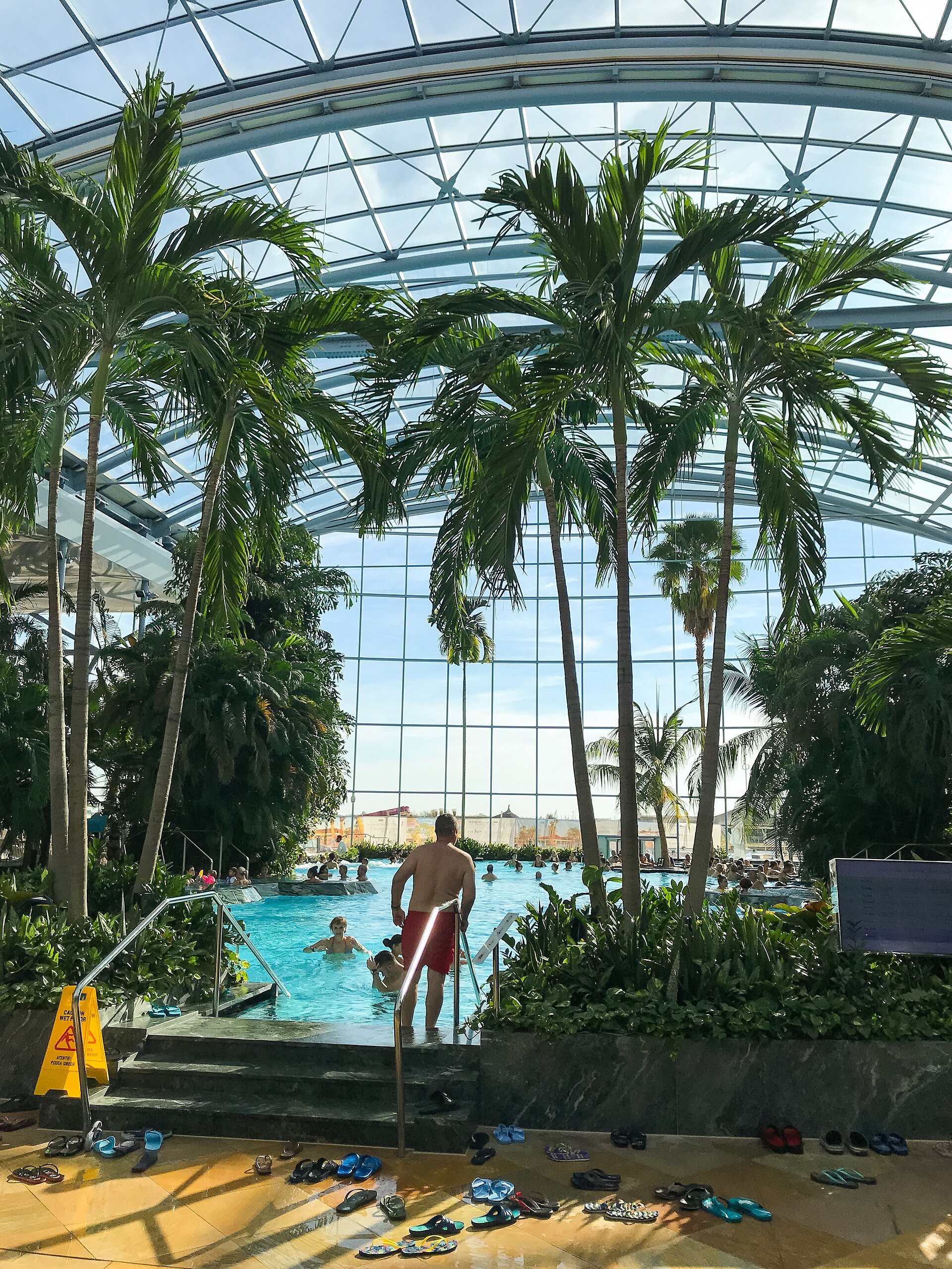 Palm-filled glass dome and pools inside Therme București