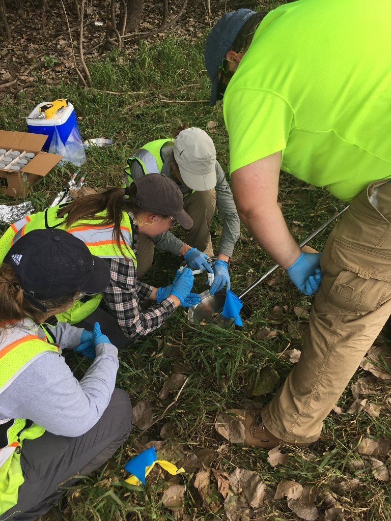 Four researchers in safety vests and gloves collect soil samples in grass at Poplar Point