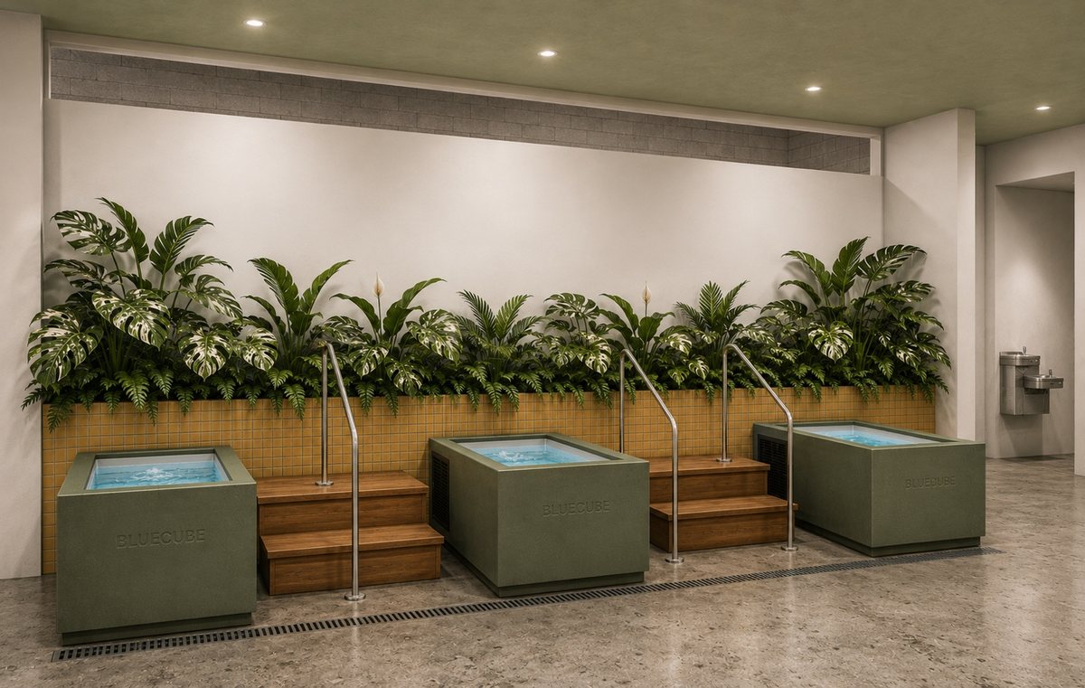 Rendering of a green storefront with SAUNA JUNGLE painted in large white letters above the windows